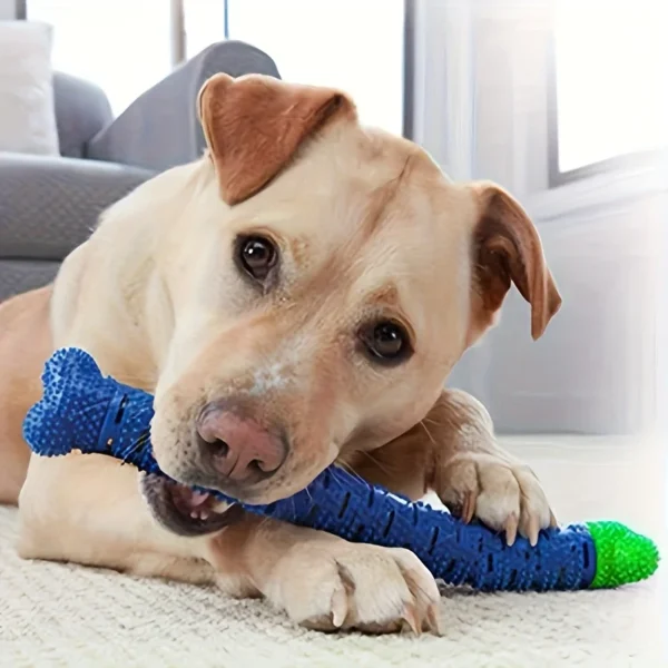 Dog Dental Chew Toy